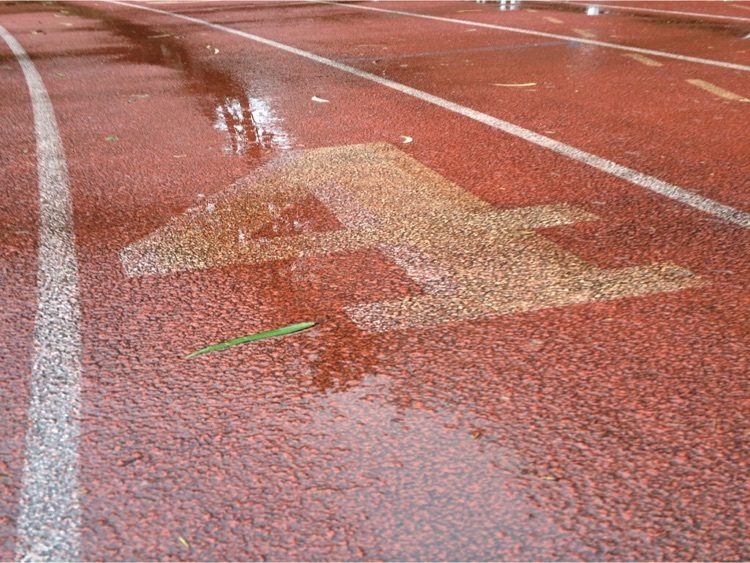 wet track